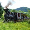 Ferrovia forestale di Orava (foto_trojmedzie-sk)